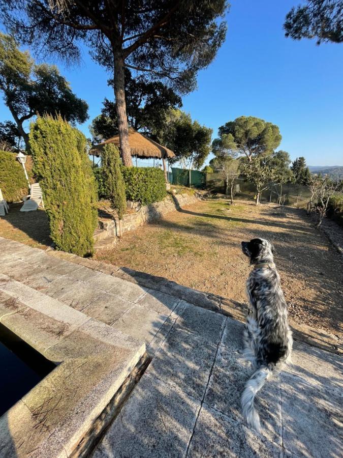 Villa Herlinda Costa Brava - With Swiming Pool Massanet De La Selva 외부 사진