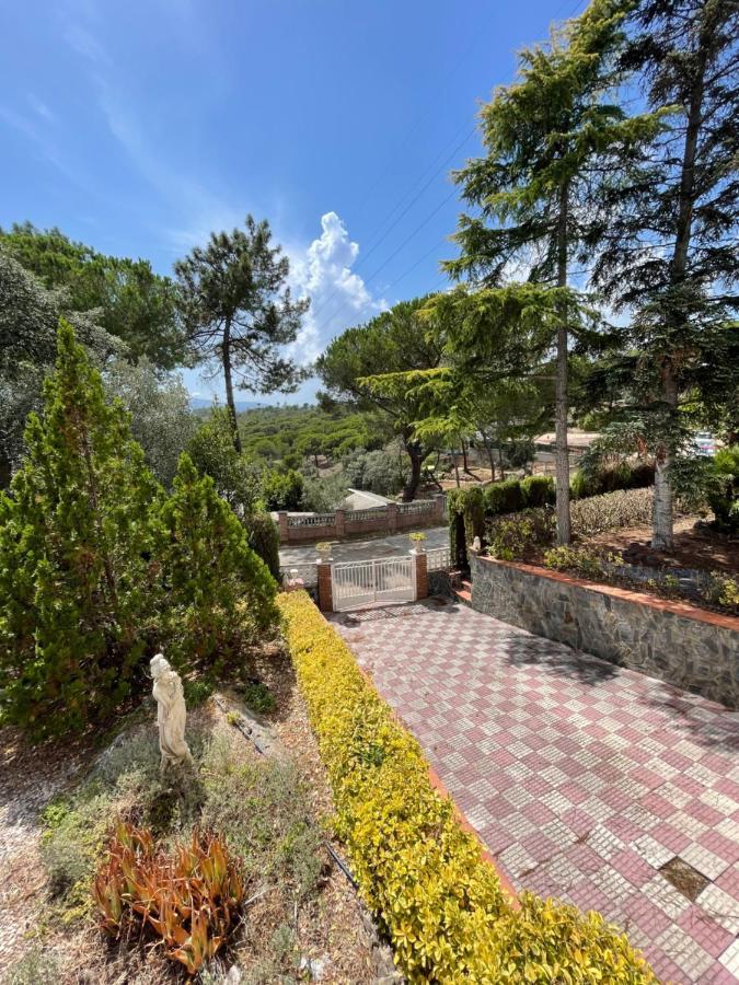 Villa Herlinda Costa Brava - With Swiming Pool Massanet De La Selva 외부 사진